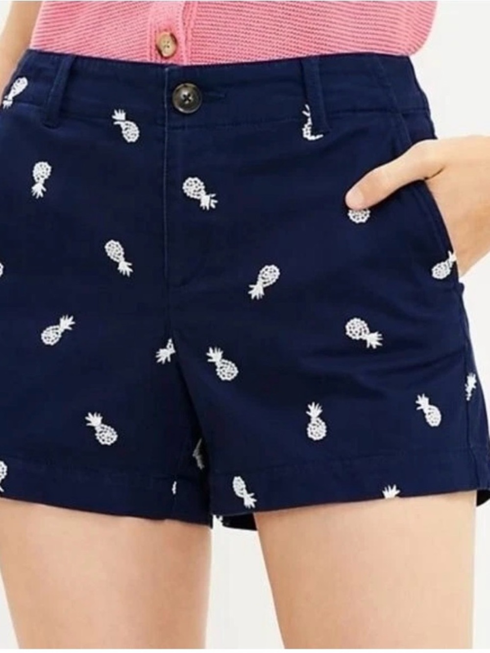 Loft Washed Twill Shorts Blue Embroidered Pineapple Pattern Size 4 Novelty Beach